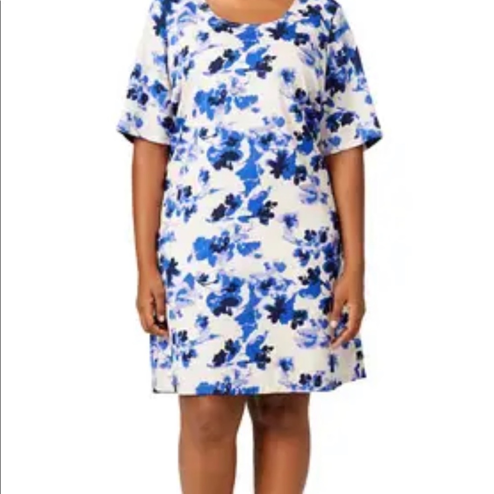 Junarose Dogwood Plus Size Dress